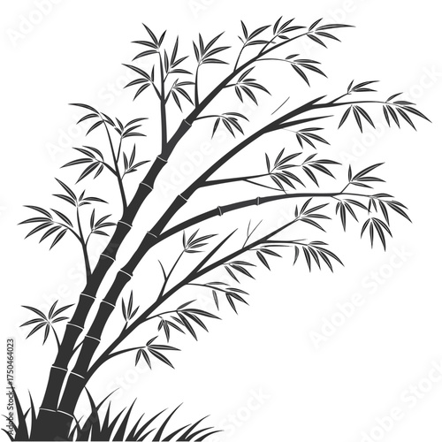 bamboo shoot vector