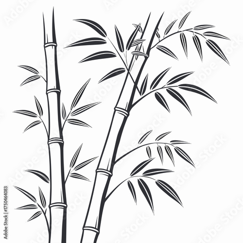 bamboo shoot vector