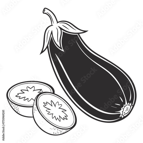 aubergine vector