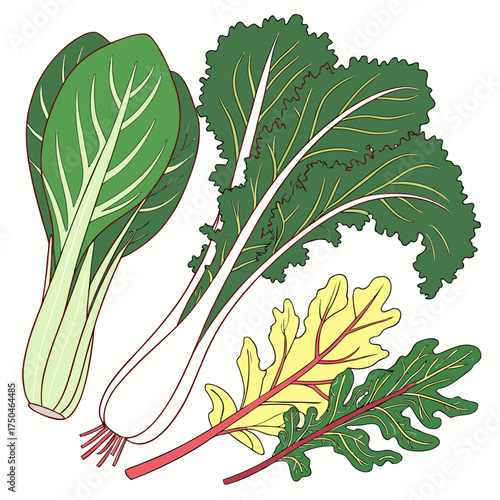 asian greens on white background 