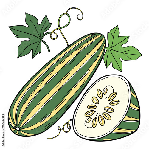 armenian cucumber on white background 