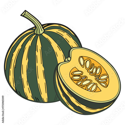 arikara squash on white background 