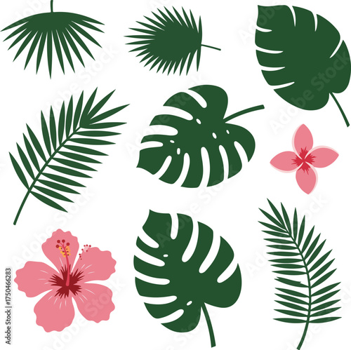 Collection of tropical leaves and flowers in various shapes and sizes.
