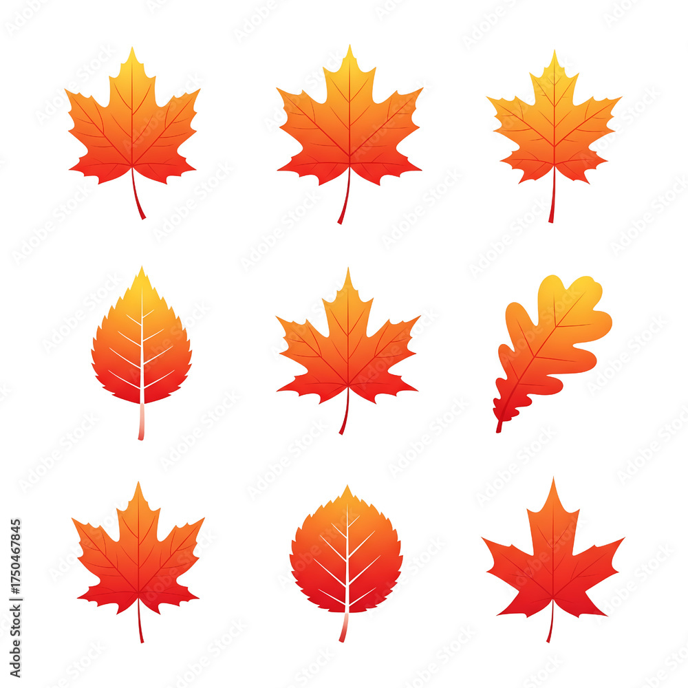 Obraz premium Set of nine vibrant autumn leaves in gradient orange and red hues, isolated on a white background, showcasing diverse leaf shapes and patterns for seasonal decoration and design
