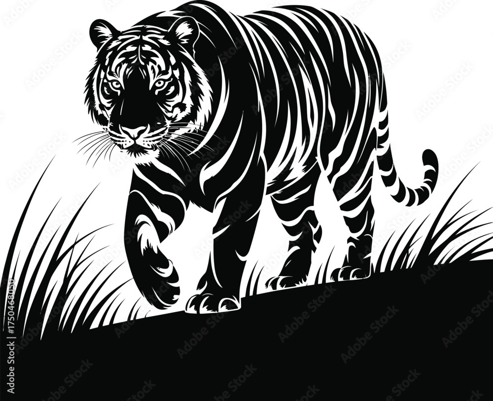 Fototapeta premium Powerful Tiger Stalking Through Grass Vector Illustration