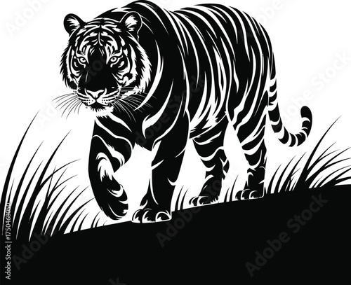 Powerful Tiger Stalking Through Grass Vector Illustration