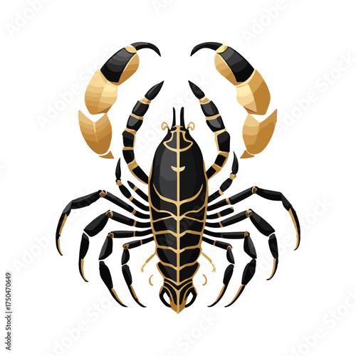 scorpion 
