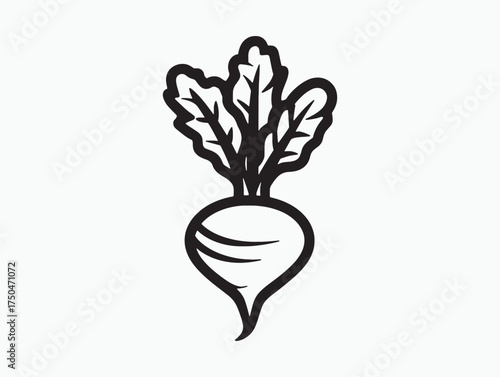 Beetroot Vegetable Outline Clean Vector Design