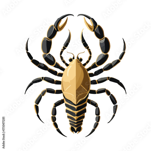 scorpion 
