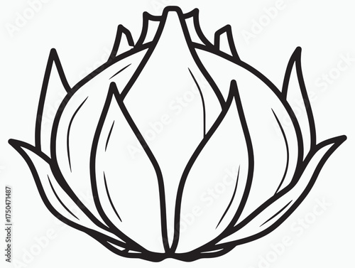 Dragonfruit Outline Illustration Clean Vector Art