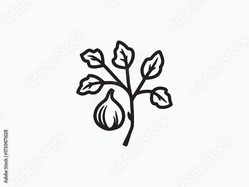 Fresh Organic Fig Vine Vector Icon