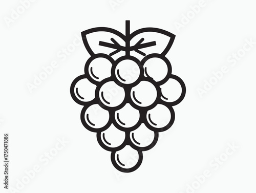 Fresh Grapes Illustration Clean Line Art
