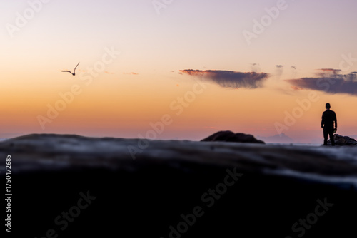 silhouette of a man walking on the beach at sunset