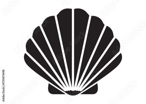 Shell icon, Shell solid vector
