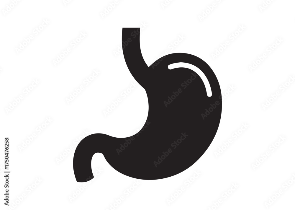 Obraz premium Stomach icon, Stomach solid vector