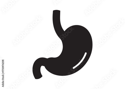 Stomach icon, Stomach solid vector