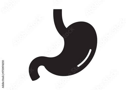Stomach icon, Stomach solid vector