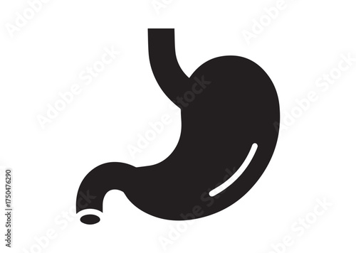 Stomach icon, Stomach solid vector