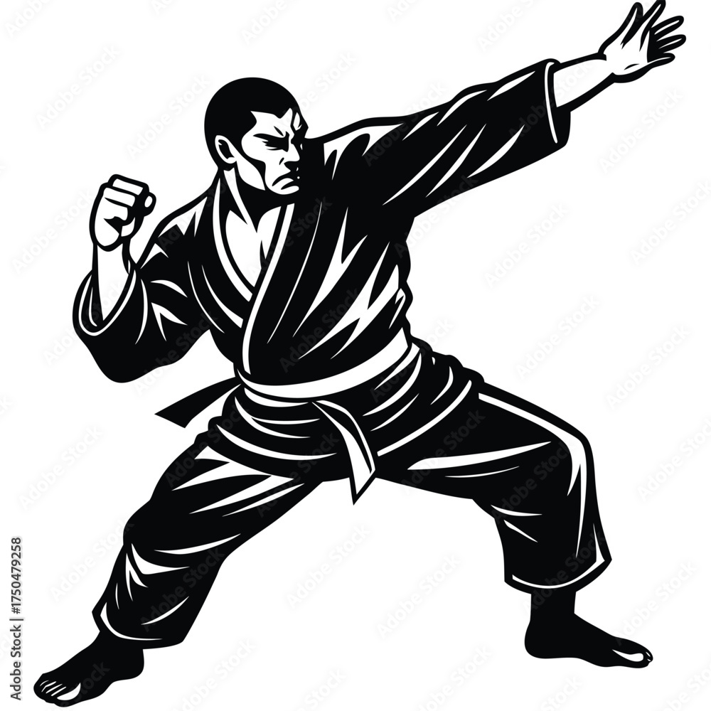 Fototapeta premium silhouette of a karate man