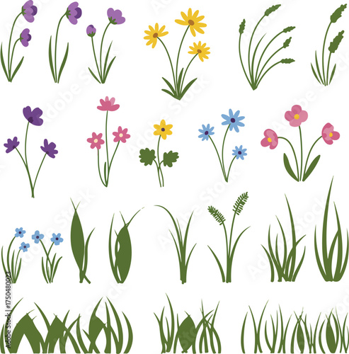 Vibrant Collection of Diverse Wildflowers and Green Grass Elements.