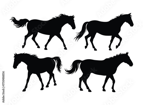 Collection of four black horse silhouettes in dynamic poses on white background