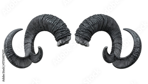 Pair of gray, curved horns with textured detail, positioned on a black background