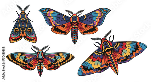 A collection of four vibrantly colored moths with intricate patterns.