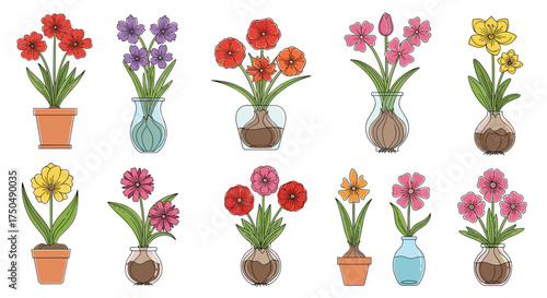 A collection of potted blooming flowers in various colors and containers.