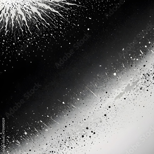 Ink Splatter: An abstract display of ink splatter, showcasing dynamic textures and patterns of black and white, creating depth and visual interest.