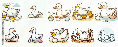 vector illustration set of ducks laying eggs