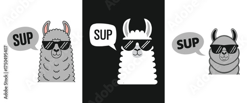 Cool llama cartoon with sunglasses saying sup funny alpaca character illustration for humor t shirt design or sticker