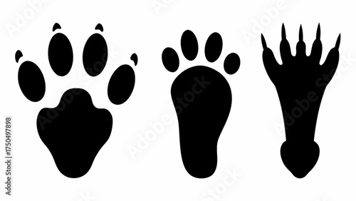 Animal paw prints silhouettes show diverse wildlife tracks for tracking and outdoor themes