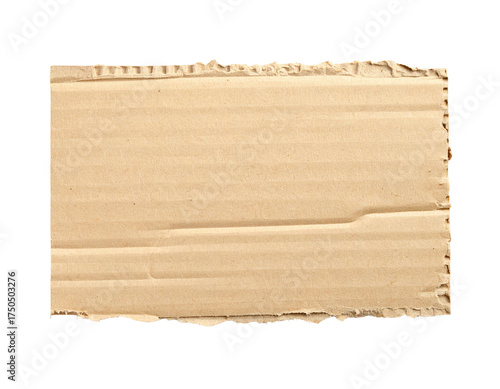 Wallpaper Mural Torn rectangular piece of corrugated cardboard, with a visible tear Torontodigital.ca