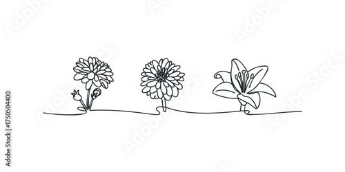 Continuous line drawing of three blooming flowers