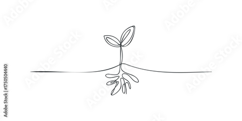 Single line drawing of a sprouting seedling with visible roots