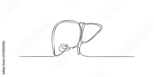 Single Line Drawing of a Human Liver Organ