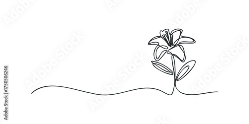 Single Line Drawing of a Blooming Lily Flower on Stem