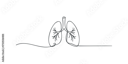 Continuous line drawing of human lungs with bronchi branches
