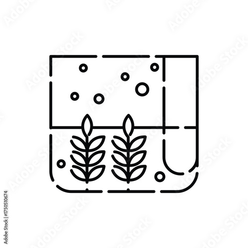 Indoor garden w plants under glass showcasing botany