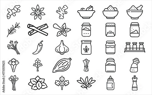 Collection of hand drawn spice and herb icons with a sketchy style