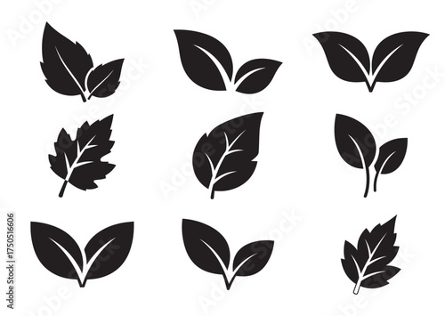 Leaves icon, Leaves solid vector