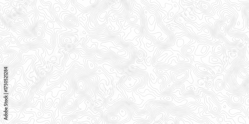 Vector abstract lines relief wire area topo map design White background with topographic world grid wave Topographic map geographic line texture.	
