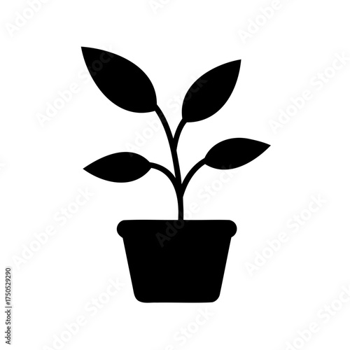 Simple black and white icon of a potted plant on white background