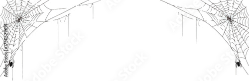 Spider web illustration spooky cobweb with spiders perfect for Halloween designs and themed backgrounds