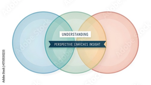 Diagram illustrating understanding perspective and insight