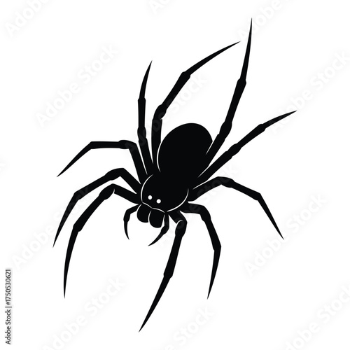 Black widow spider silhouette isolated on white background