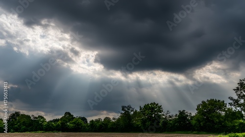Beam of sunlight breaking through dark storm clouds, illuminating the ground.