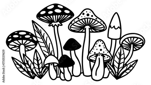 vector illustration of a mushrooms