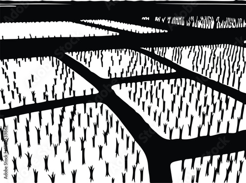 Vector silhouette rice field with pathways illustration