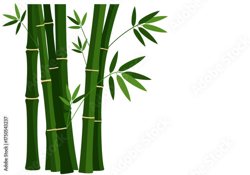 Illustration of Green Bamboo Stalks with Leaves.